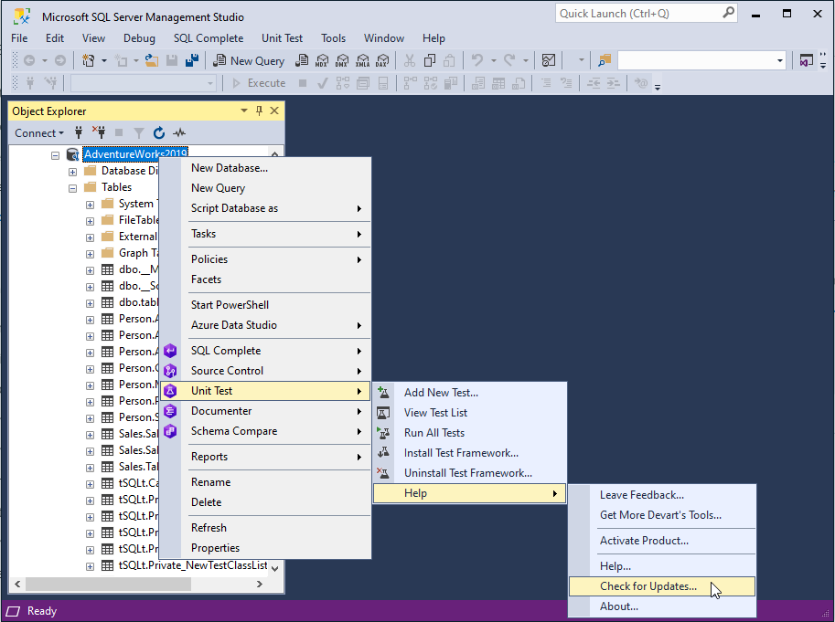 Upgrade the SQL unit testing tool automatically with the Check for updates option