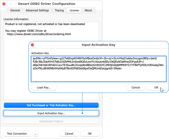 Input Activation Key dialog