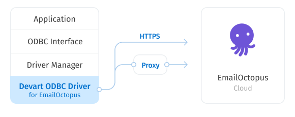 Direct Connection to EmailOctopus