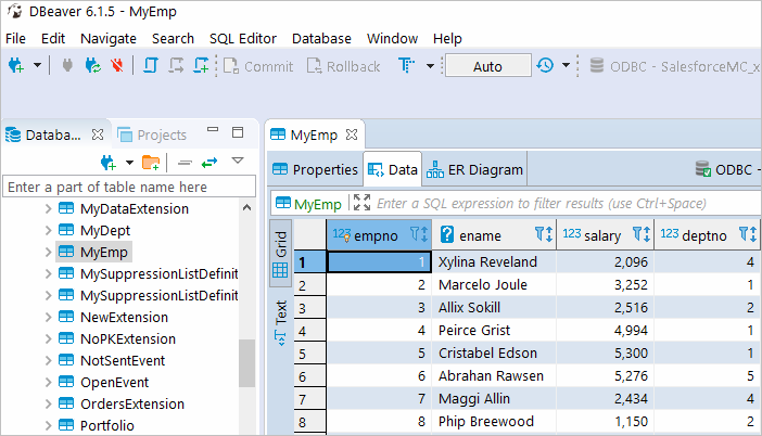 Retrieve data from Salesforce MC in DBeaver