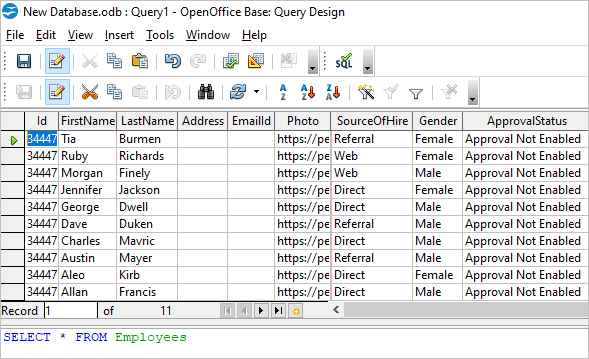 Open Office Query Result