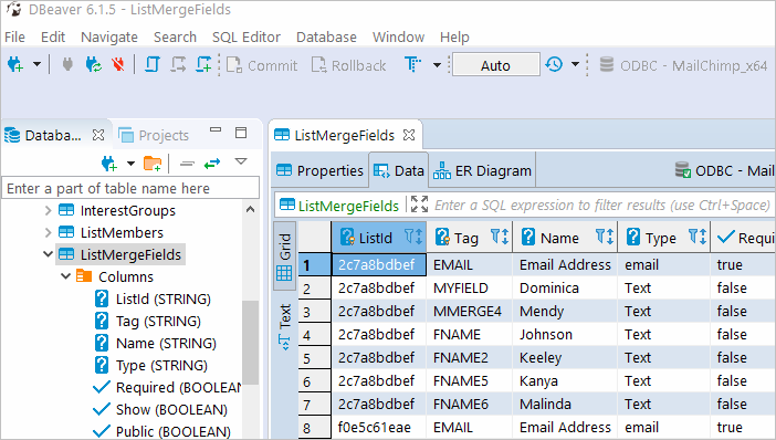 Retrieve data from Mailchimp in DBeaver