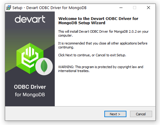 Installation Wizard MongoDB