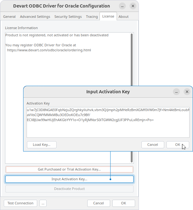 Input Activation Key dialog