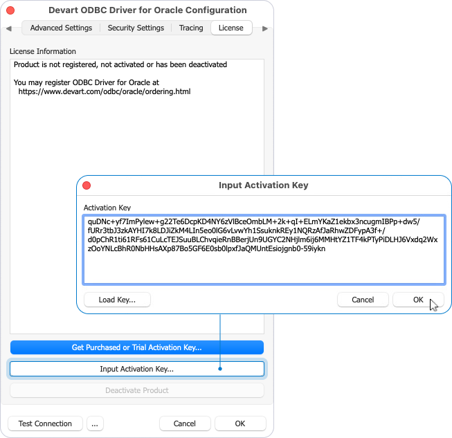 Input Activation Key dialog