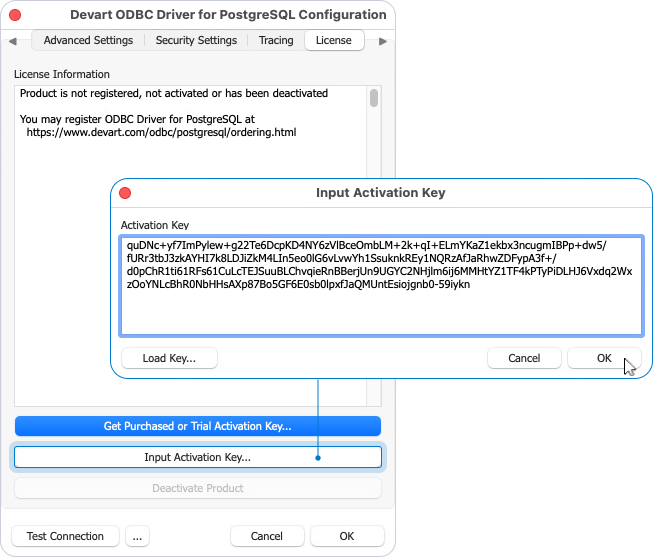 Input Activation Key dialog