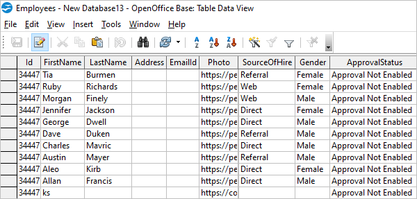 Open Office Table Data View