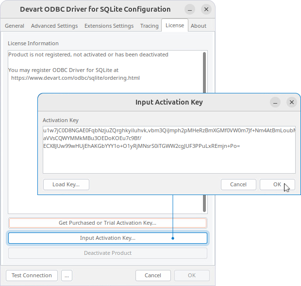 Input Activation Key dialog