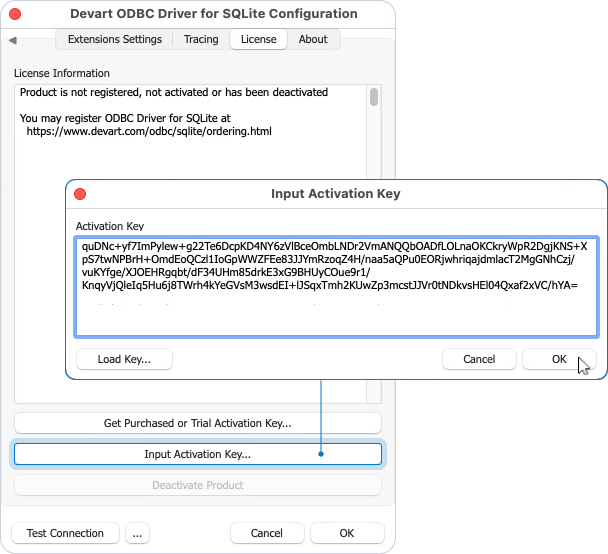 Input Activation Key dialog