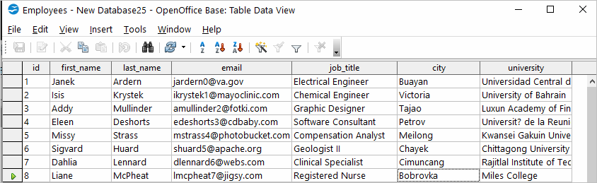 Open Office Table Data View