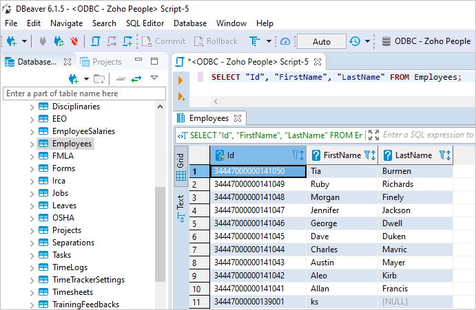 Execute SQL query in DBeaver against Zoho People database